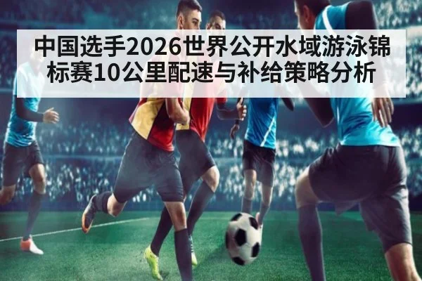 中国选手2026世界公开水域游泳锦标赛10公里配速与补给策略分析